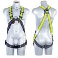 IMBRACATURA LIVITH ADVENTURE SERIE CLASSIC-AUTOMATIC TG. M/L