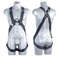 IMBRACATURA LIVITH CHEMISTRY SERIE SPECIAL TG. L-XL