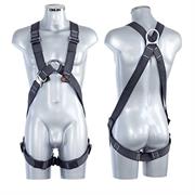 IMBRACATURA LIVITH CHEMISTRY SERIE SPECIAL TG. XXL