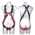 IMBRACATURA LIVITH ELASTIC SERIE SPECIAL TG. L-XL