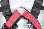 IMBRACATURA LIVITH ELASTIC SERIE SPECIAL TG. L-XL