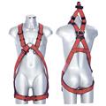 IMBRACATURA LIVITH RESCUE SERIE AMBIENTI CONFINATI TG. S-M